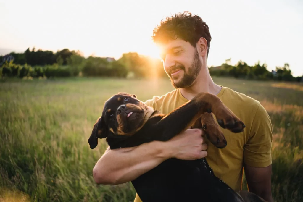 Give Emotional Support to your Dog With Help Of Psychotherapist in Toronto
